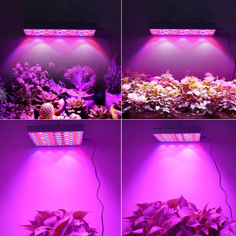 Luces LED de espectro completo para cultivo de plantas de interior, semillas, tienda de campaña con invernadero de flores, lámparas de iluminación para plantas hidropónicas, 144 Chips