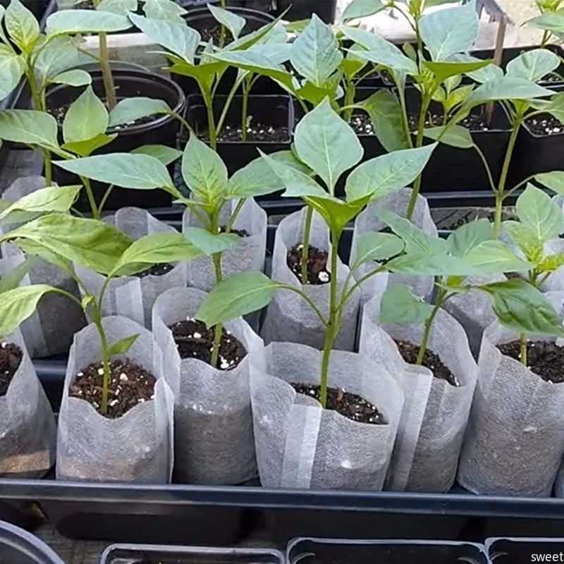 Bolsa Biodegradable para vivero, bolsas de tela de cultivo de plantas
100 piezas