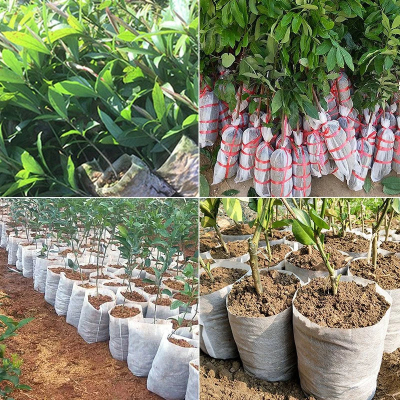 Bolsa Biodegradable para vivero, bolsas de tela de cultivo de plantas
100 piezas